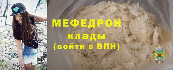 spice Богородицк